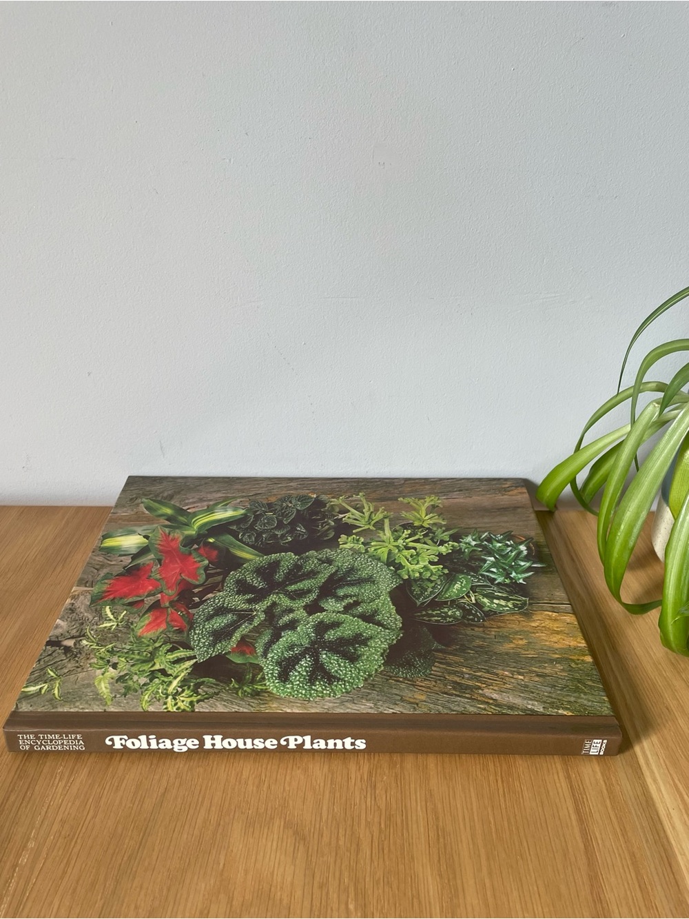 Vintage 70s Foliage House Plants Encyclopedia of Gardening Hardcover Book